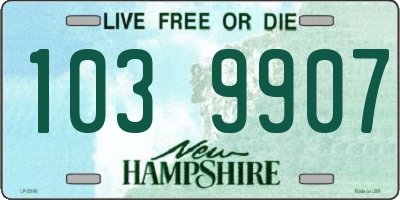 NH license plate 1039907