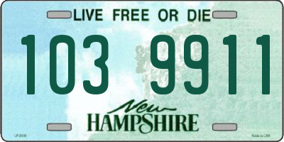 NH license plate 1039911