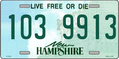 NH license plate 1039913