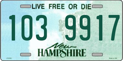 NH license plate 1039917