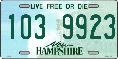 NH license plate 1039923