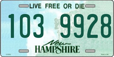 NH license plate 1039928