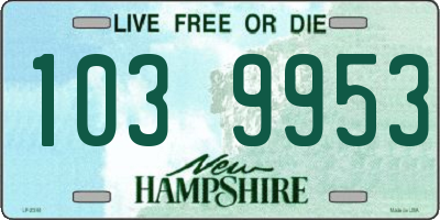 NH license plate 1039953