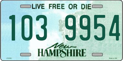 NH license plate 1039954