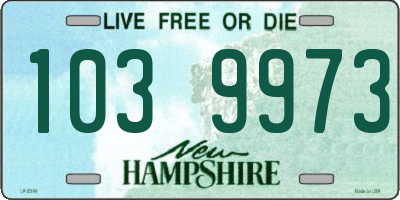 NH license plate 1039973