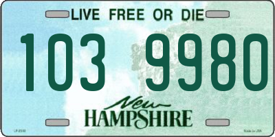 NH license plate 1039980