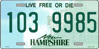 NH license plate 1039985