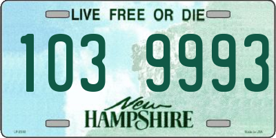 NH license plate 1039993