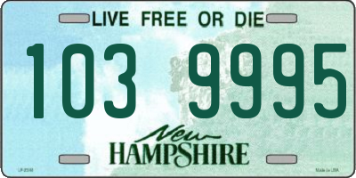 NH license plate 1039995