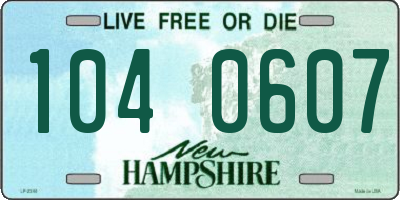 NH license plate 1040607
