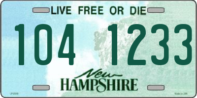 NH license plate 1041233
