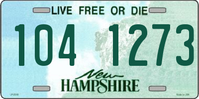 NH license plate 1041273