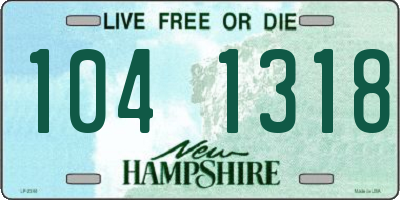 NH license plate 1041318