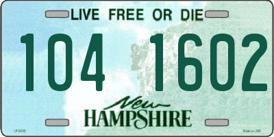 NH license plate 1041602