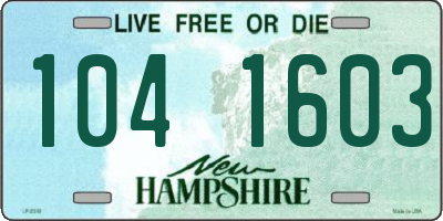 NH license plate 1041603