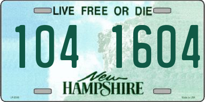 NH license plate 1041604