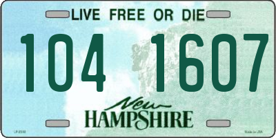 NH license plate 1041607