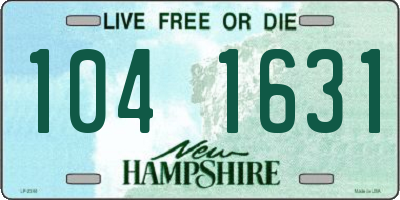NH license plate 1041631