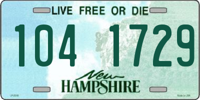 NH license plate 1041729