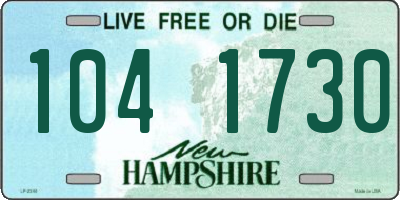 NH license plate 1041730