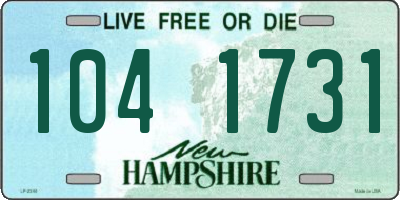 NH license plate 1041731
