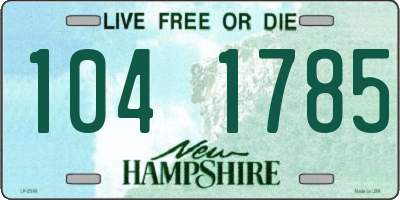 NH license plate 1041785