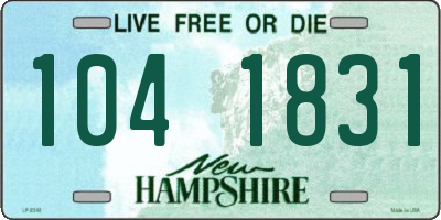 NH license plate 1041831