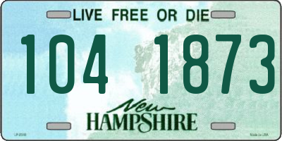 NH license plate 1041873
