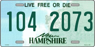 NH license plate 1042073