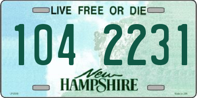 NH license plate 1042231