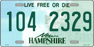 NH license plate 1042329
