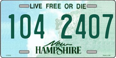 NH license plate 1042407