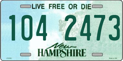 NH license plate 1042473