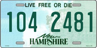 NH license plate 1042481