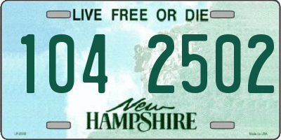 NH license plate 1042502