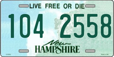NH license plate 1042558