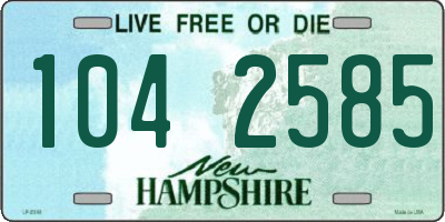 NH license plate 1042585