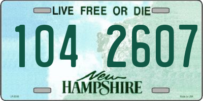NH license plate 1042607