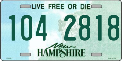 NH license plate 1042818