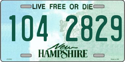 NH license plate 1042829