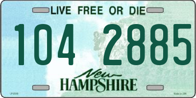 NH license plate 1042885