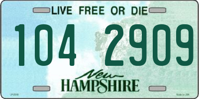 NH license plate 1042909