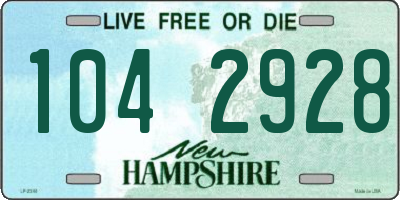 NH license plate 1042928