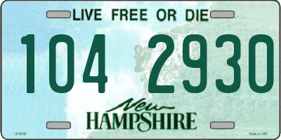 NH license plate 1042930