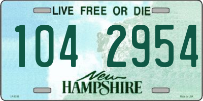 NH license plate 1042954