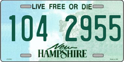 NH license plate 1042955