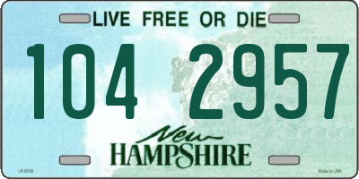 NH license plate 1042957