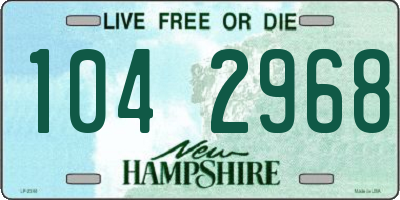 NH license plate 1042968