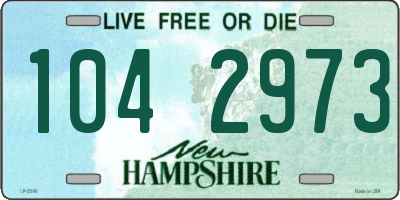 NH license plate 1042973