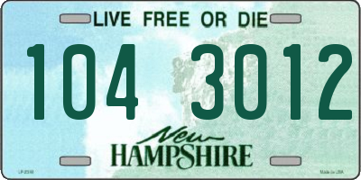 NH license plate 1043012